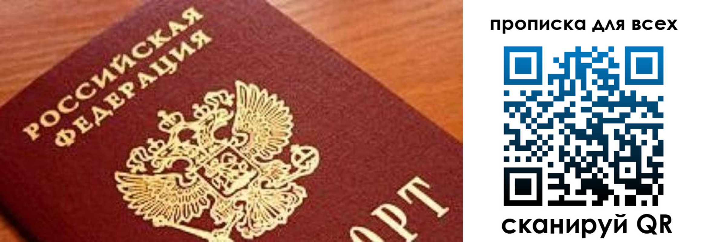 прописка для школы в Химках